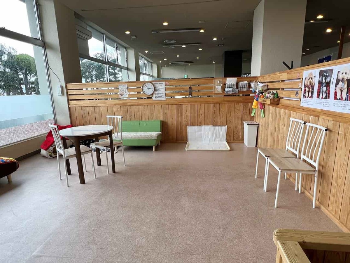 島根県松江市の『玉造国際ホテル』内にあるドッグカフェ「Wan Riva」の様子