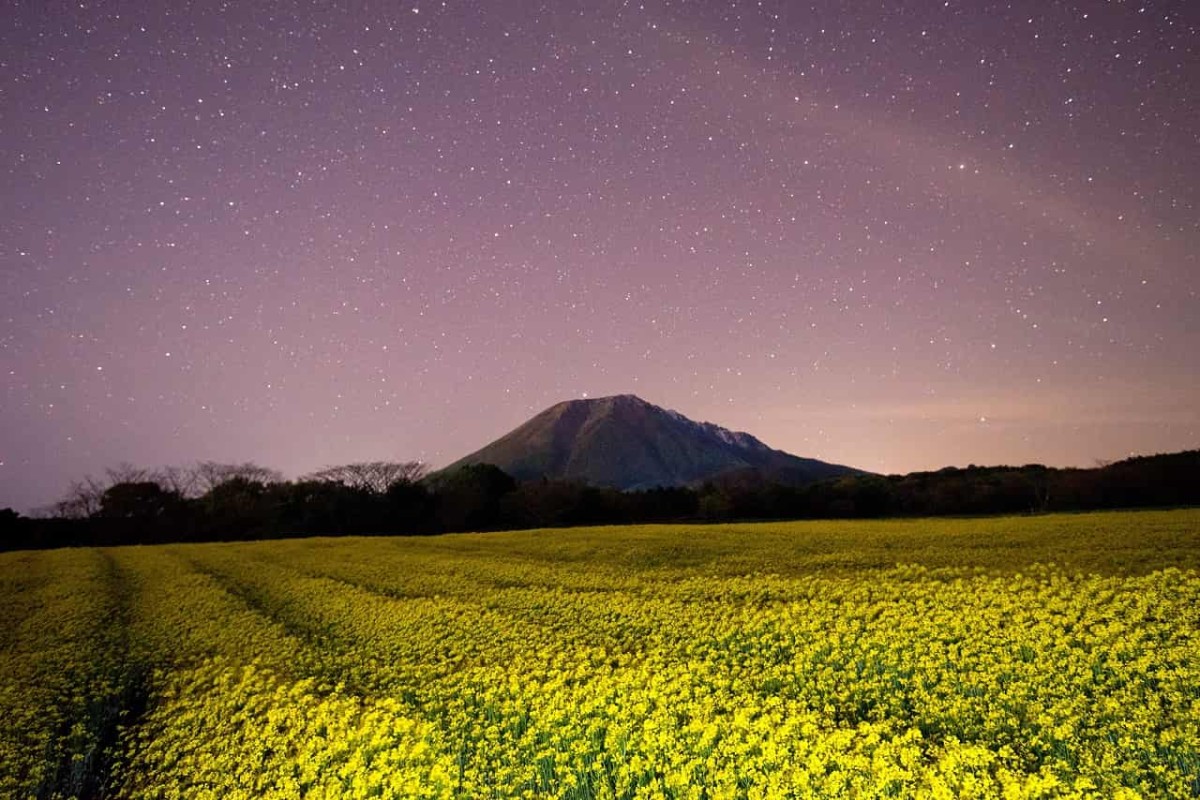 鳥取県西伯郡伯耆町福兼の菜の花