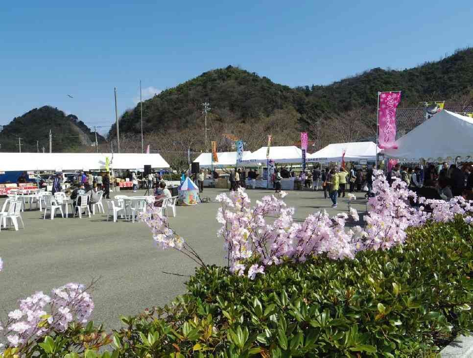 島根県松江市の桜・お花見イベント「島根町さくら祭り」の開催中の様子