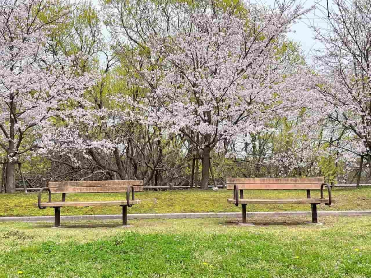 鳥取県境港市にある『余子駅前公園』の様子