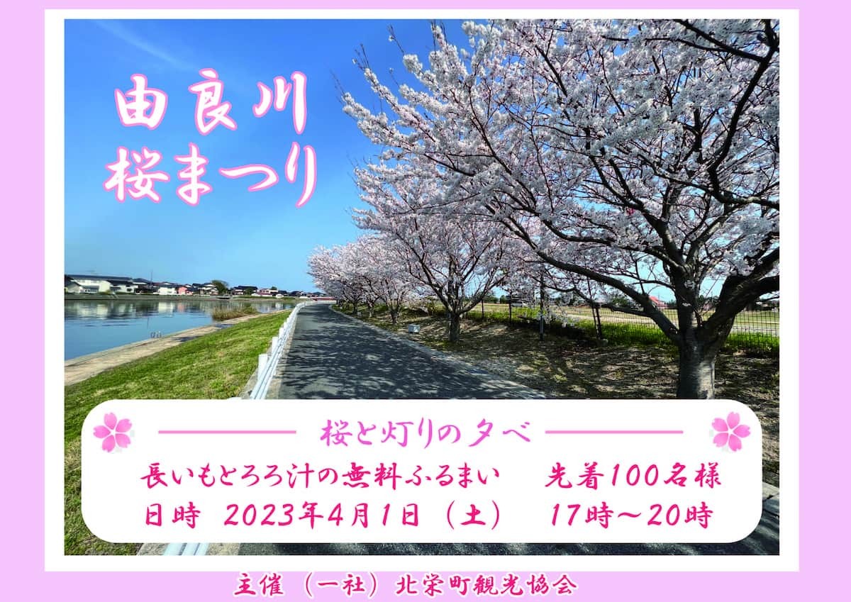 鳥取県北栄町の桜・お花見イベント「由良川桜祭り～桜と灯りの夕べ～」のチラシ