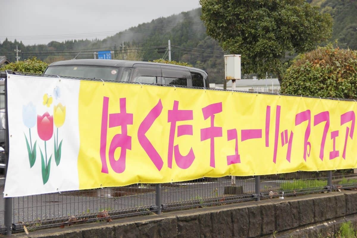 島根県安来市伯太町のフラワースポット『伯太のチューリップ畑』の現地の様子