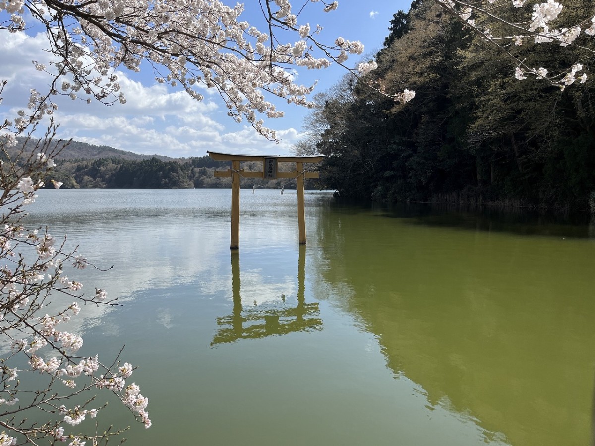 島根県大田市にある穴場スポット「浮布池」