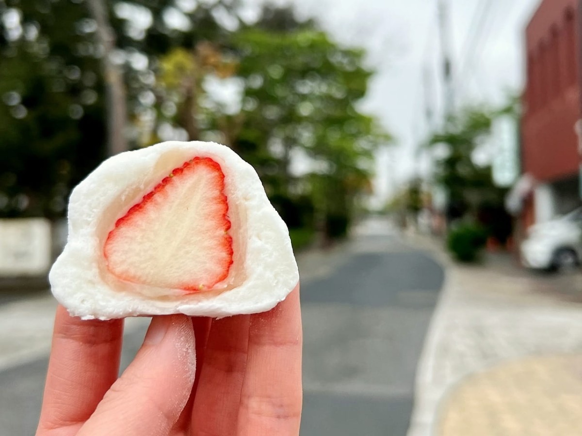 鳥取県米子市にオープンしたフルーツ大福専門のキッチンカー『果包庵』のフルーツ大福