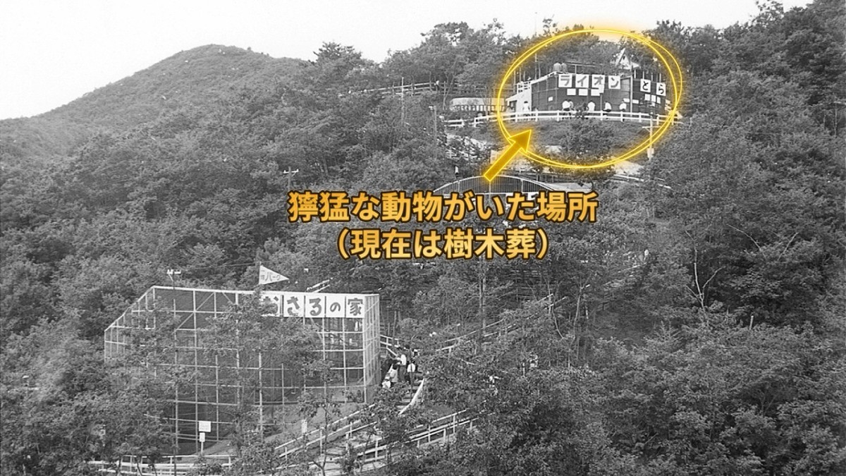 かつて島根県出雲市のあった遊園地「一畑パーク」の当時の様子