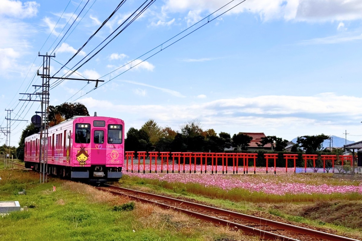 島根県出雲市にある『粟津稲生神社』参道の様子