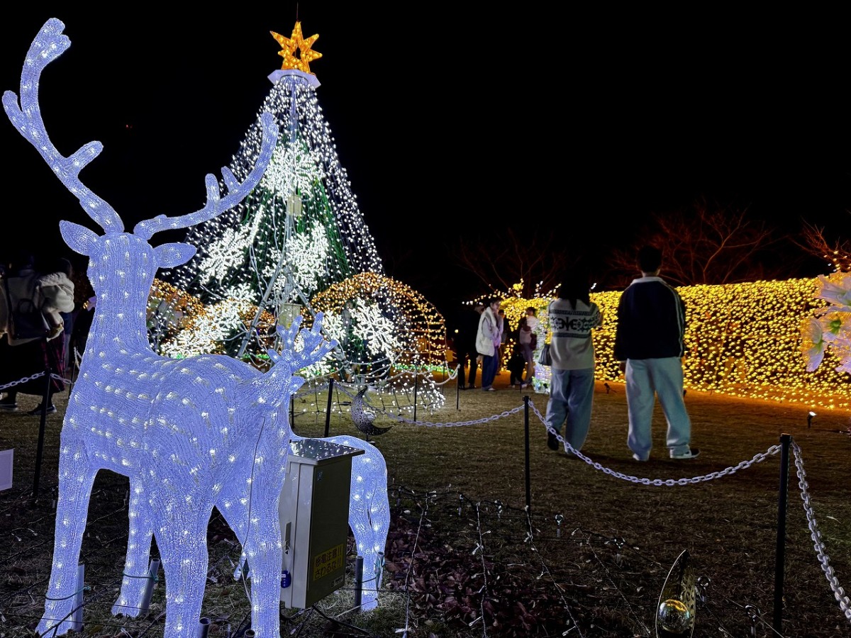 島根県出雲市で開催されているイルミネーションイベント「ミライトいずも」の様子