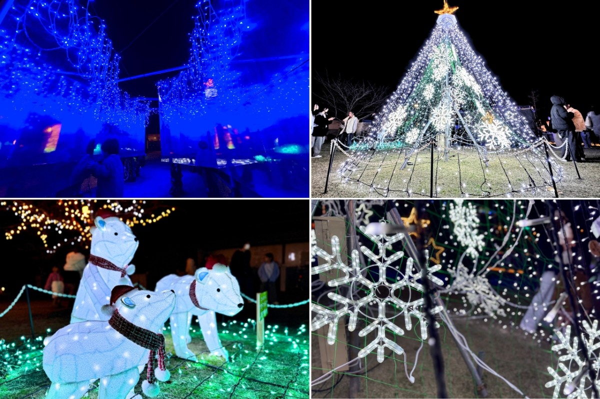 島根県出雲市で開催されているイルミネーションイベント「ミライトいずも」の様子