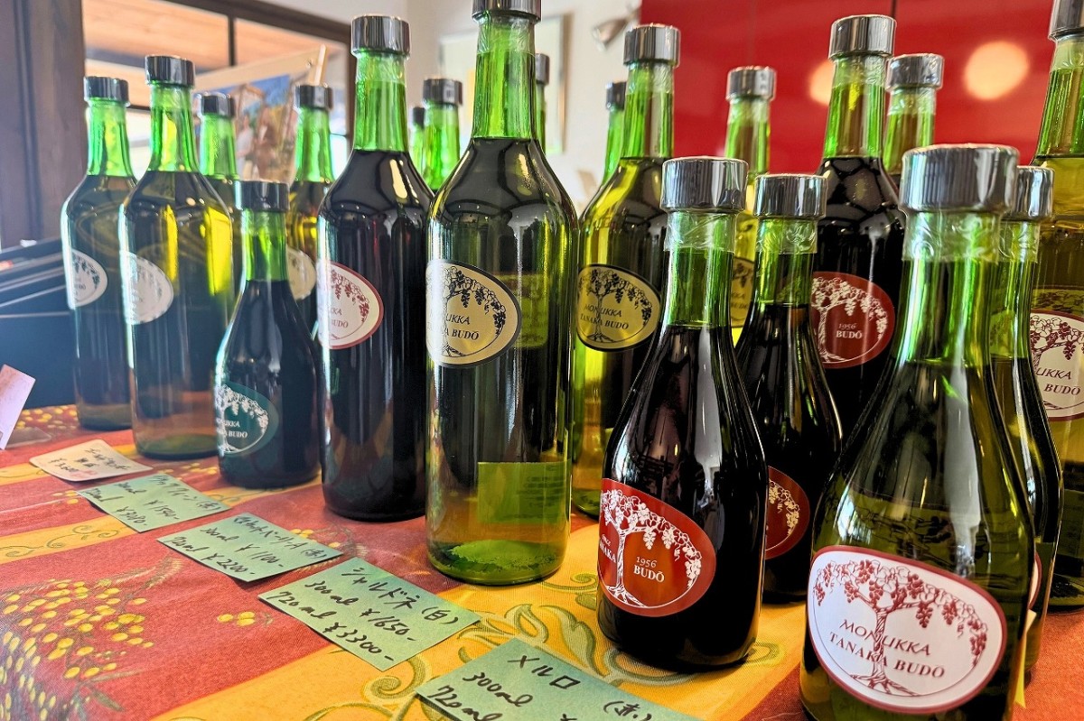 島根県益田市にある『モヌッカ』のワイン