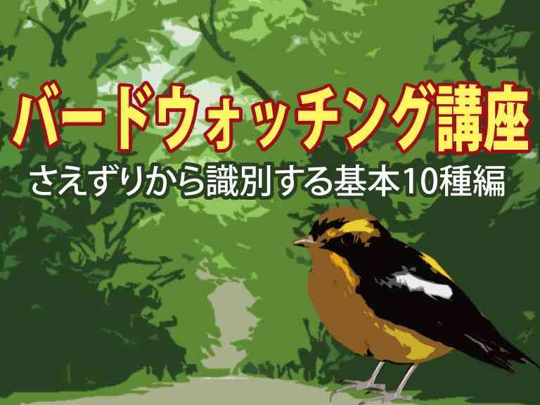 島根県大田市のイベント「【要予約】バードウォッチング講座 さえずりから識別する基本10種編」のイメージ