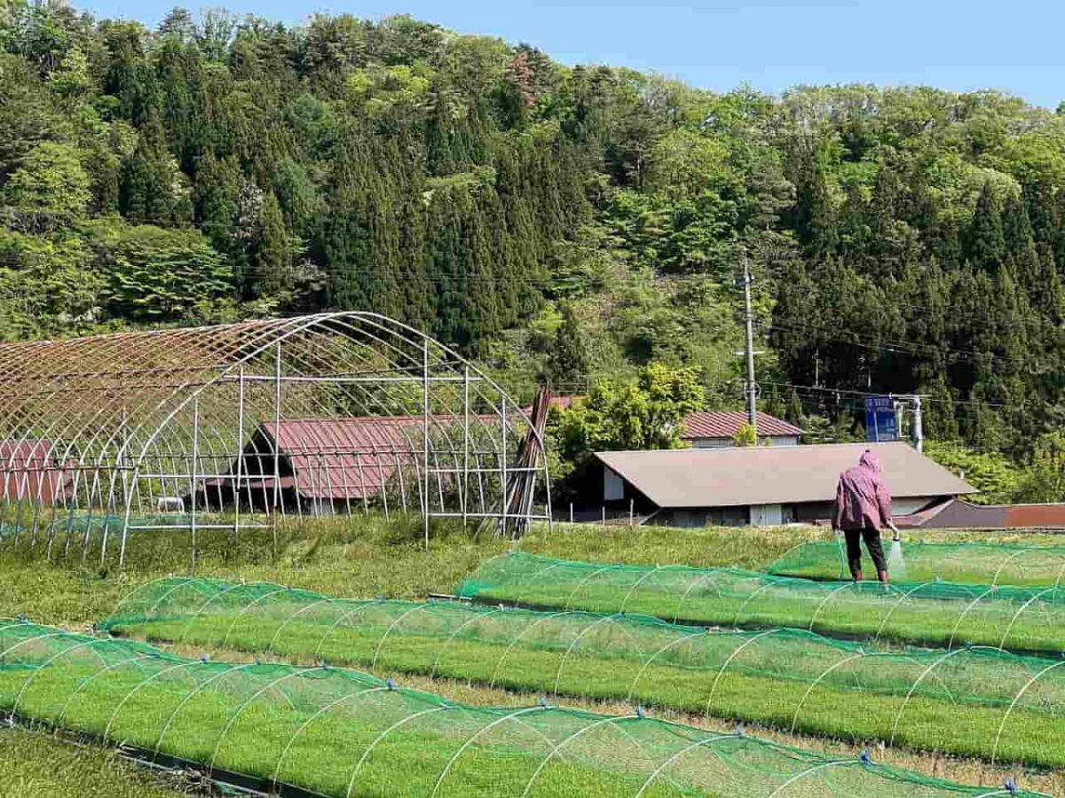 鳥取県の江府町にある「御机（みづくえ）の茅葺小屋」周辺の様子