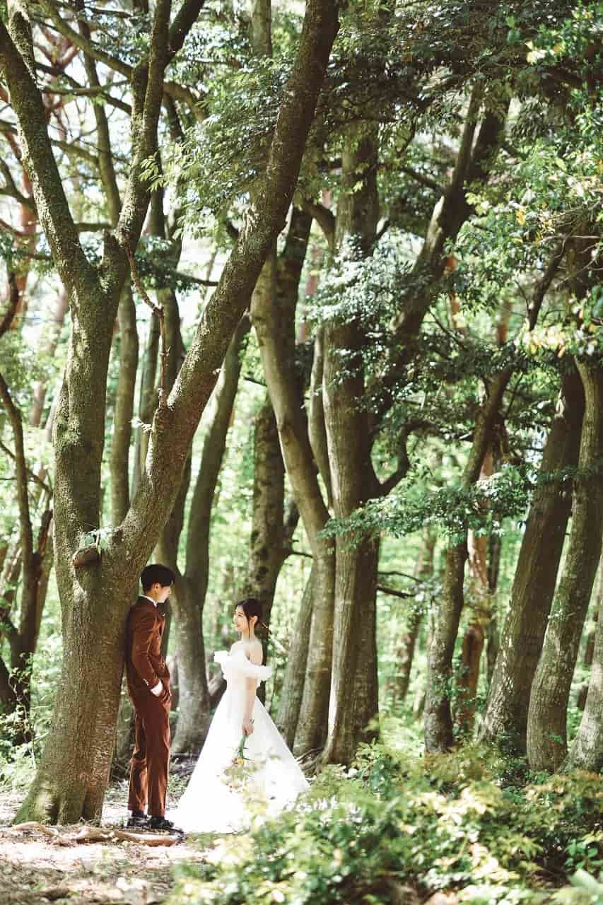 鳥取県西伯郡大山町にオープンしたフォトスタジオ『ノットダイセン』のイメージ写真