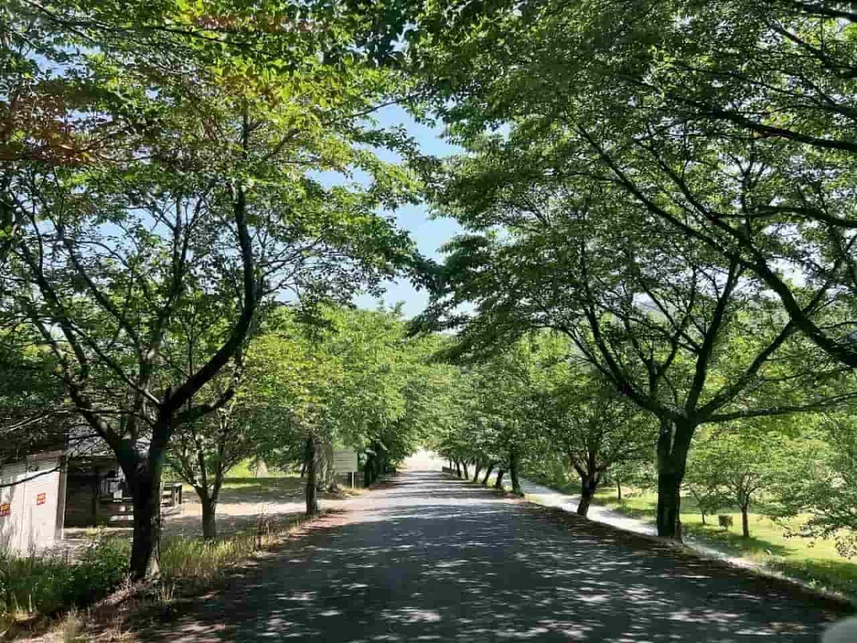 鳥取県西伯郡伯耆町にある「ささふく水辺公園」の様子