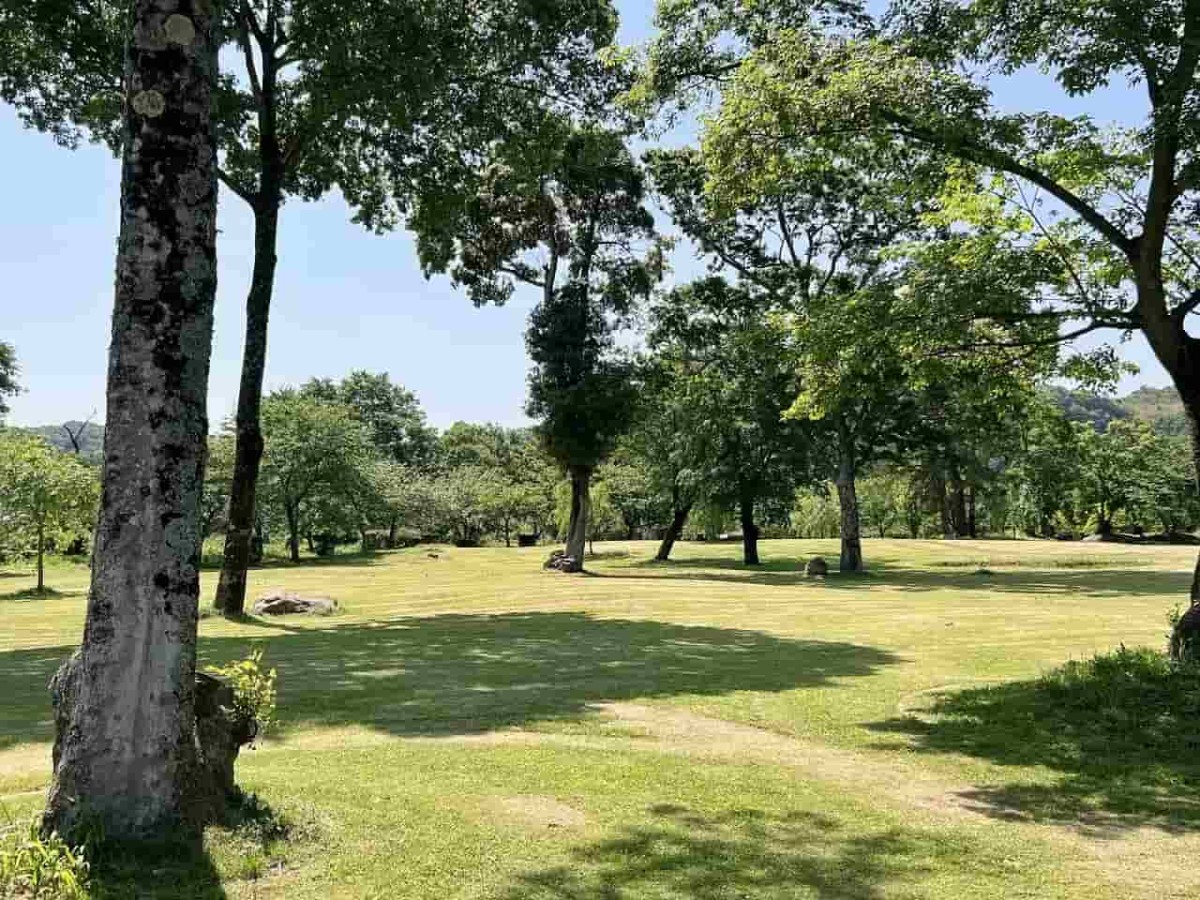 鳥取県西伯郡伯耆町にある「ささふく水辺公園」の様子