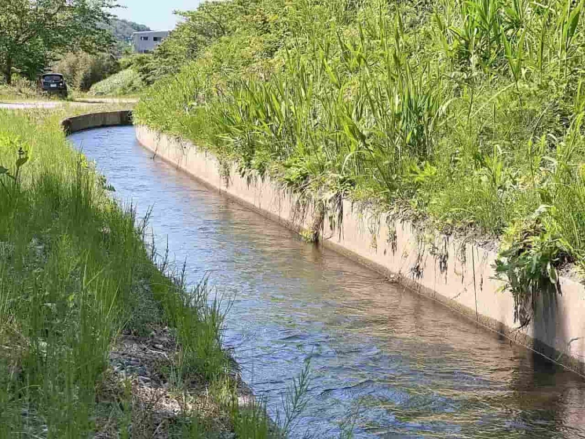 鳥取県西伯郡伯耆町にある「ささふく水辺公園」の様子