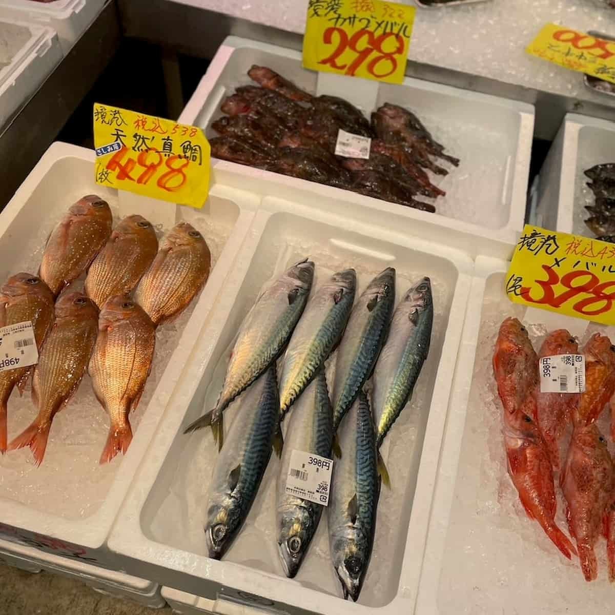 鳥取県米子市・境港市にある『岡田商店』で販売している魚