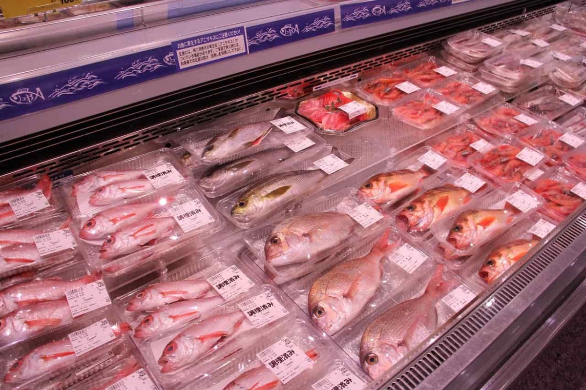 鳥取県米子市にある『まるごう東福原店』で販売している魚