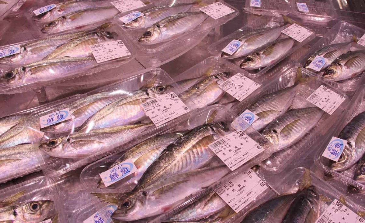 鳥取県米子市にある『まるごう東福原店』で販売している魚