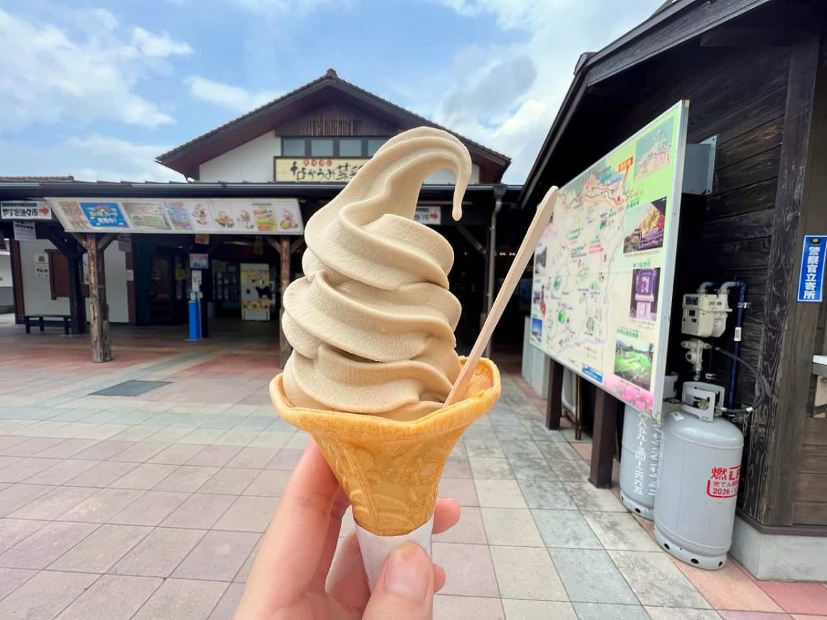 島根県安来市にある『道の駅あらエッサ』で売ってるソフトクリーム