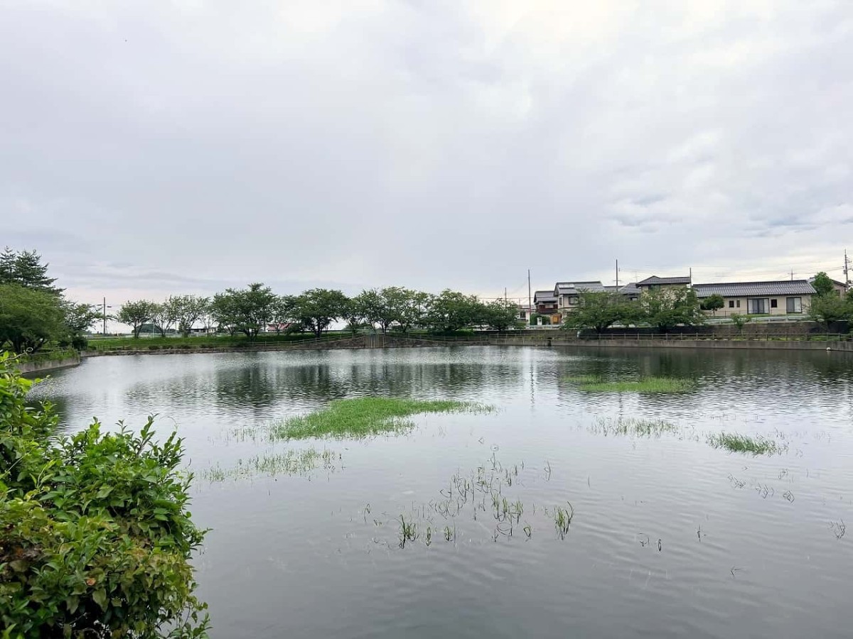 鳥取県東伯郡琴浦町にある『水辺公園』の様子