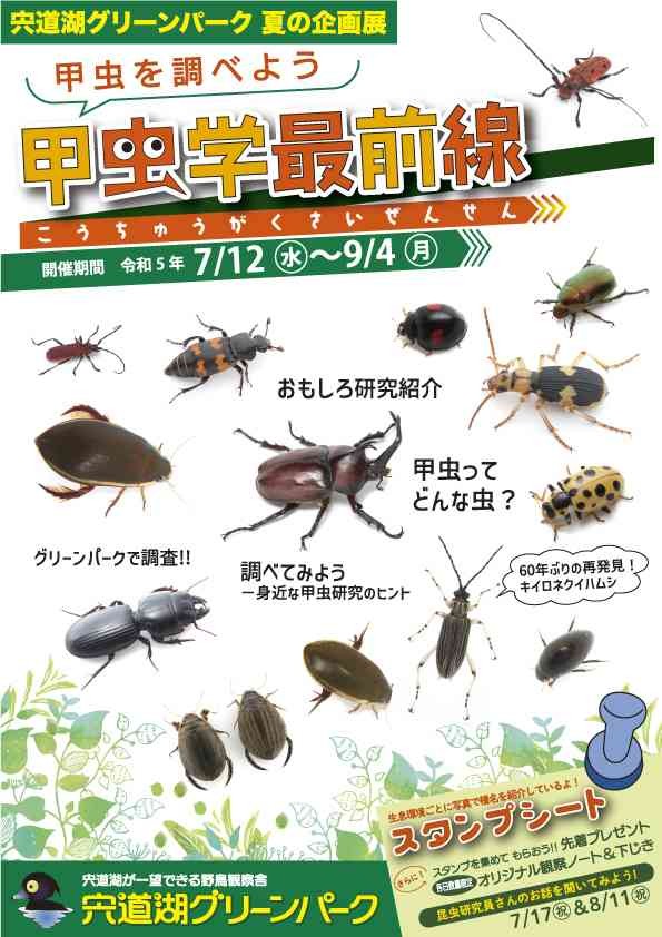 島根県出雲市のイベント「宍道湖グリーンパーク夏の企画展「甲虫を調べよう 甲虫学最前線」」のチラシ