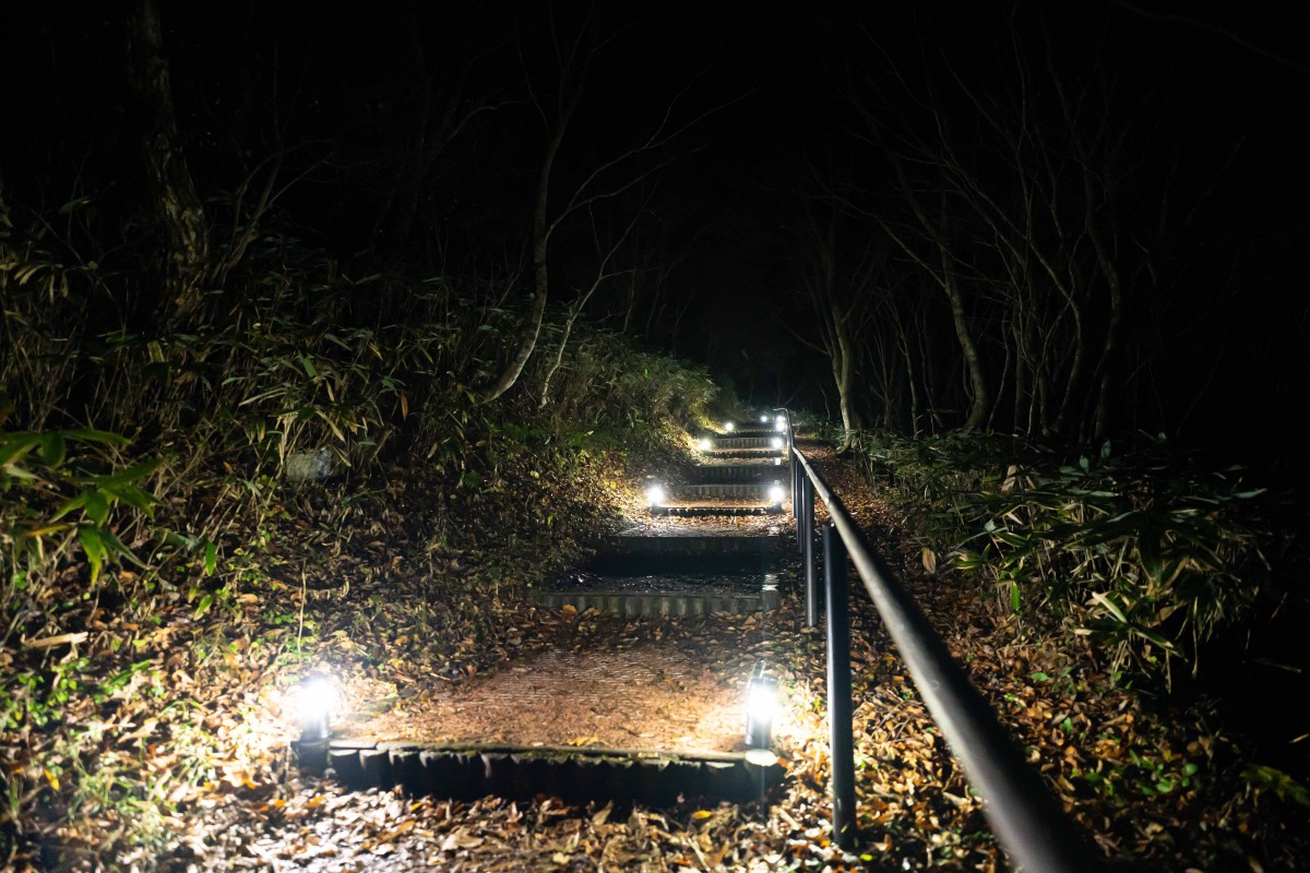 夜の三瓶山登山道