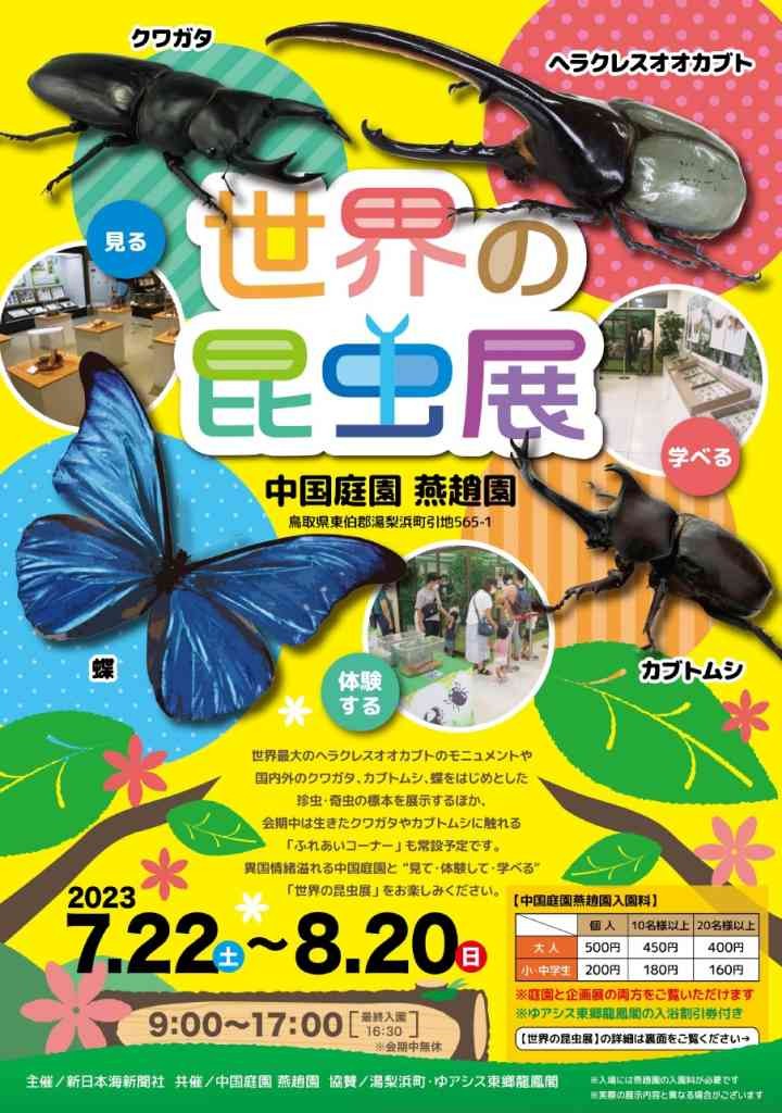 鳥取県東伯郡湯梨浜町のイベント「世界の昆虫展」のチラシ