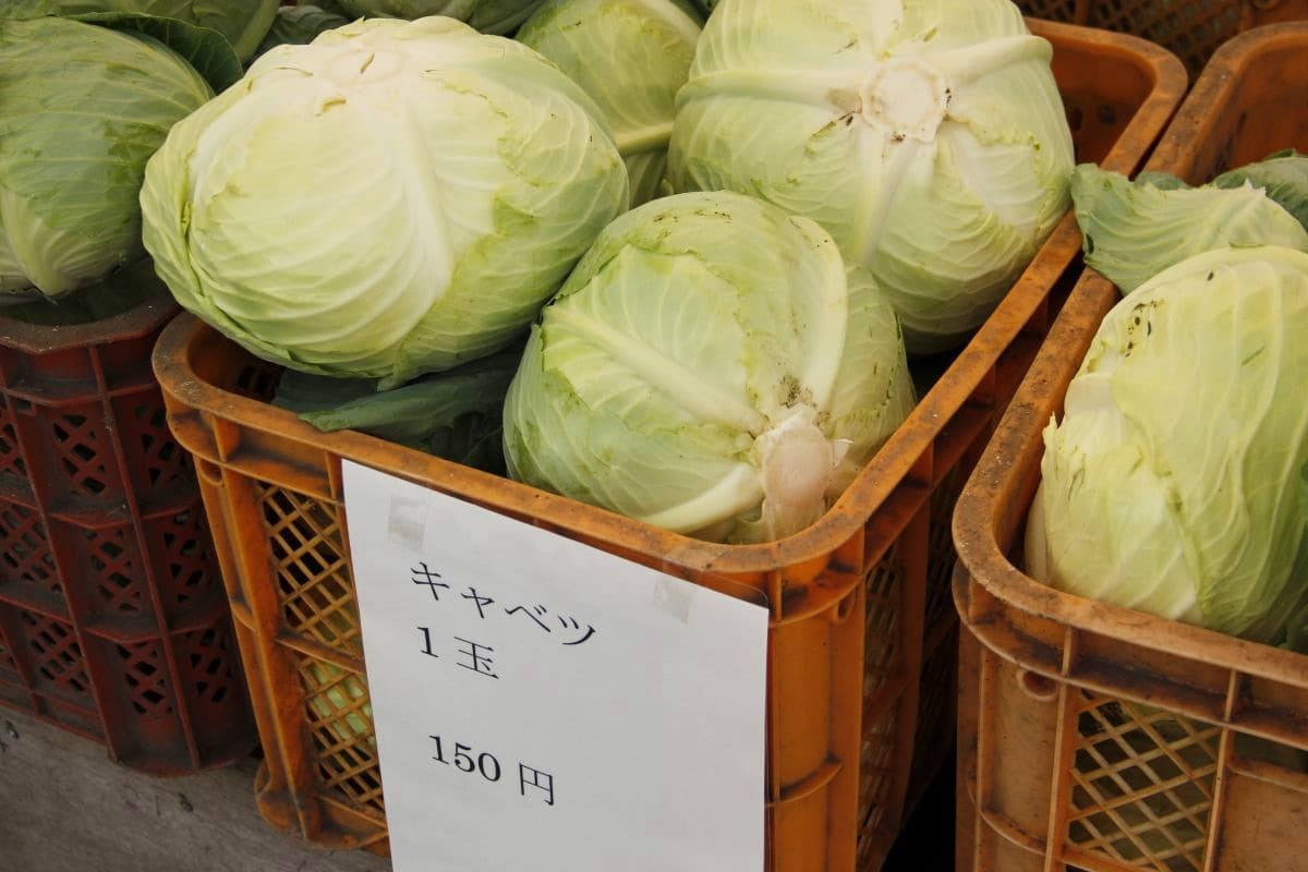 島根県奥出雲町のそば店『高原そば壱心』の産直野菜コーナー