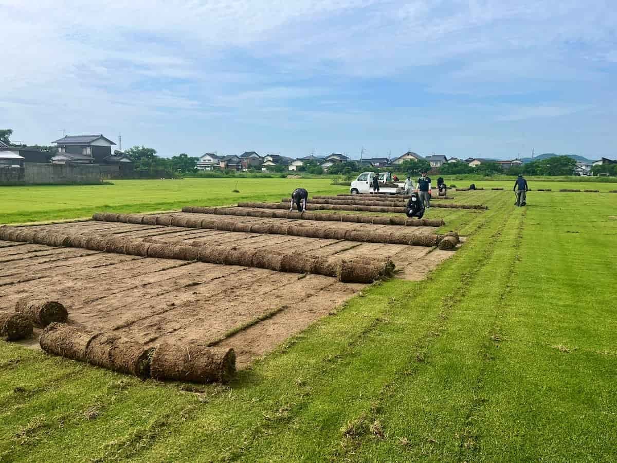 鳥取県のプロサッカークラブ「ガイナーレ鳥取」のスタッフが育てる芝生