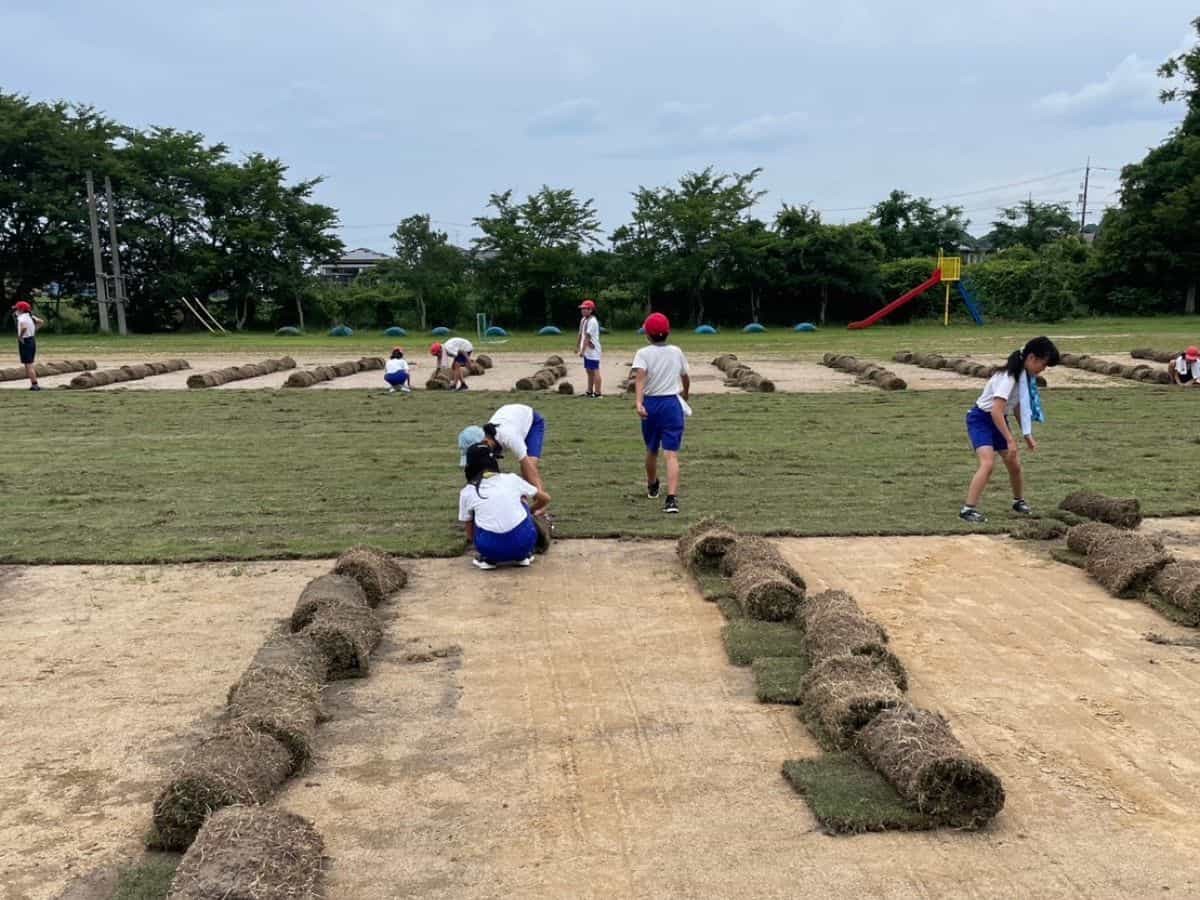 鳥取県のプロサッカークラブ「ガイナーレ鳥取」のスタッフが育てる芝生を小学校へ
