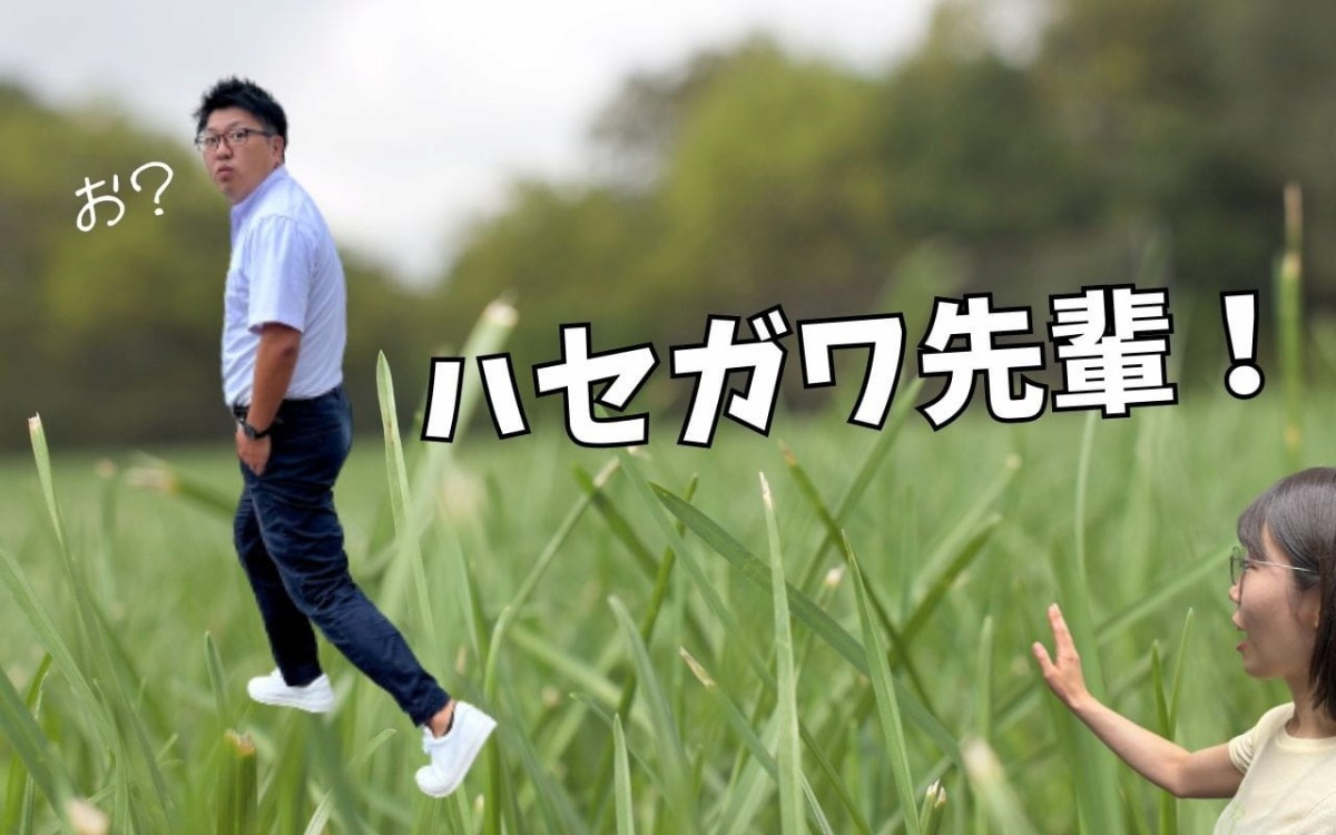 「JAしまね」の外観の様子