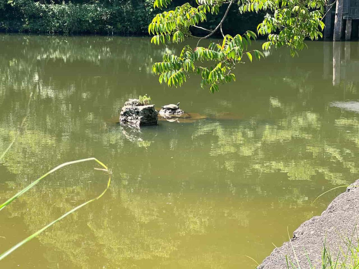 島根県松江市にある『楽山公園』の様子