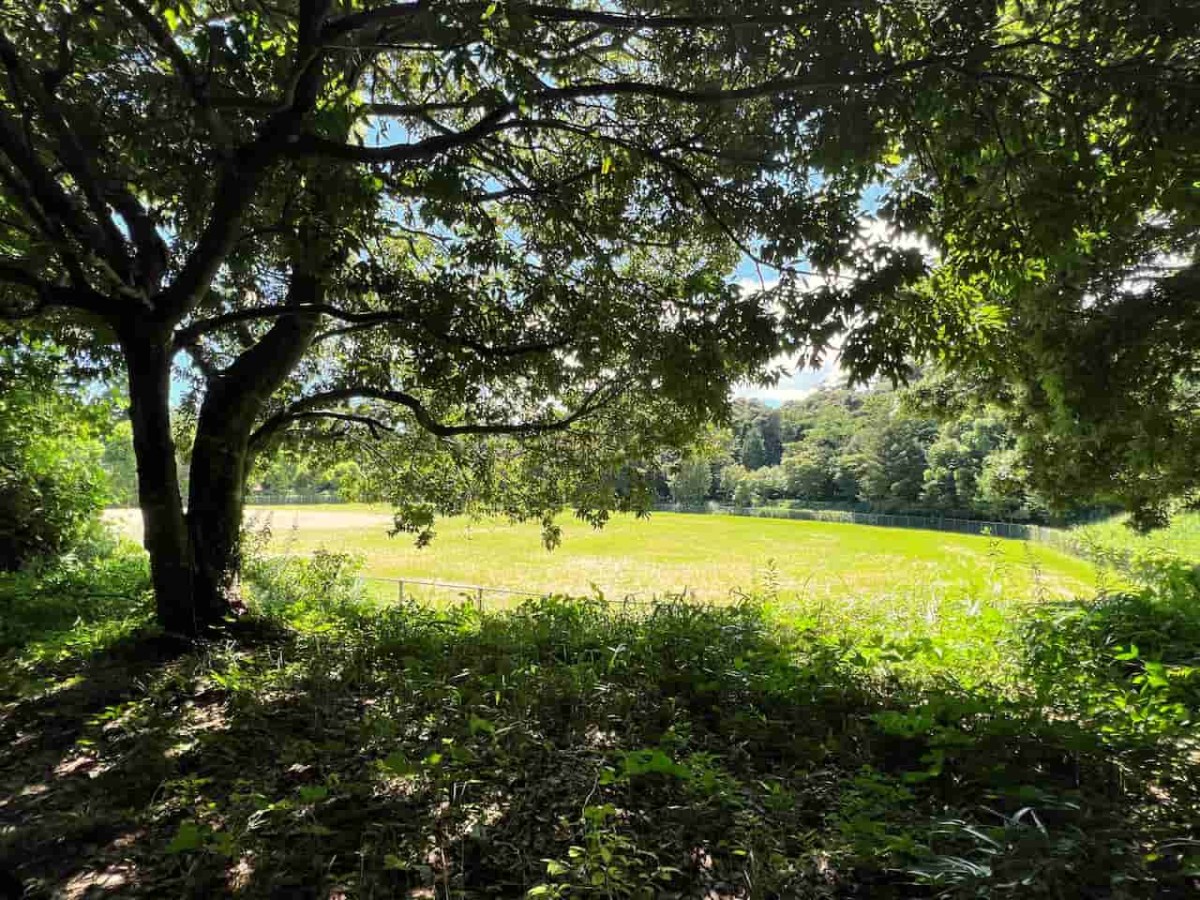 島根県松江市にある『楽山公園』の様子