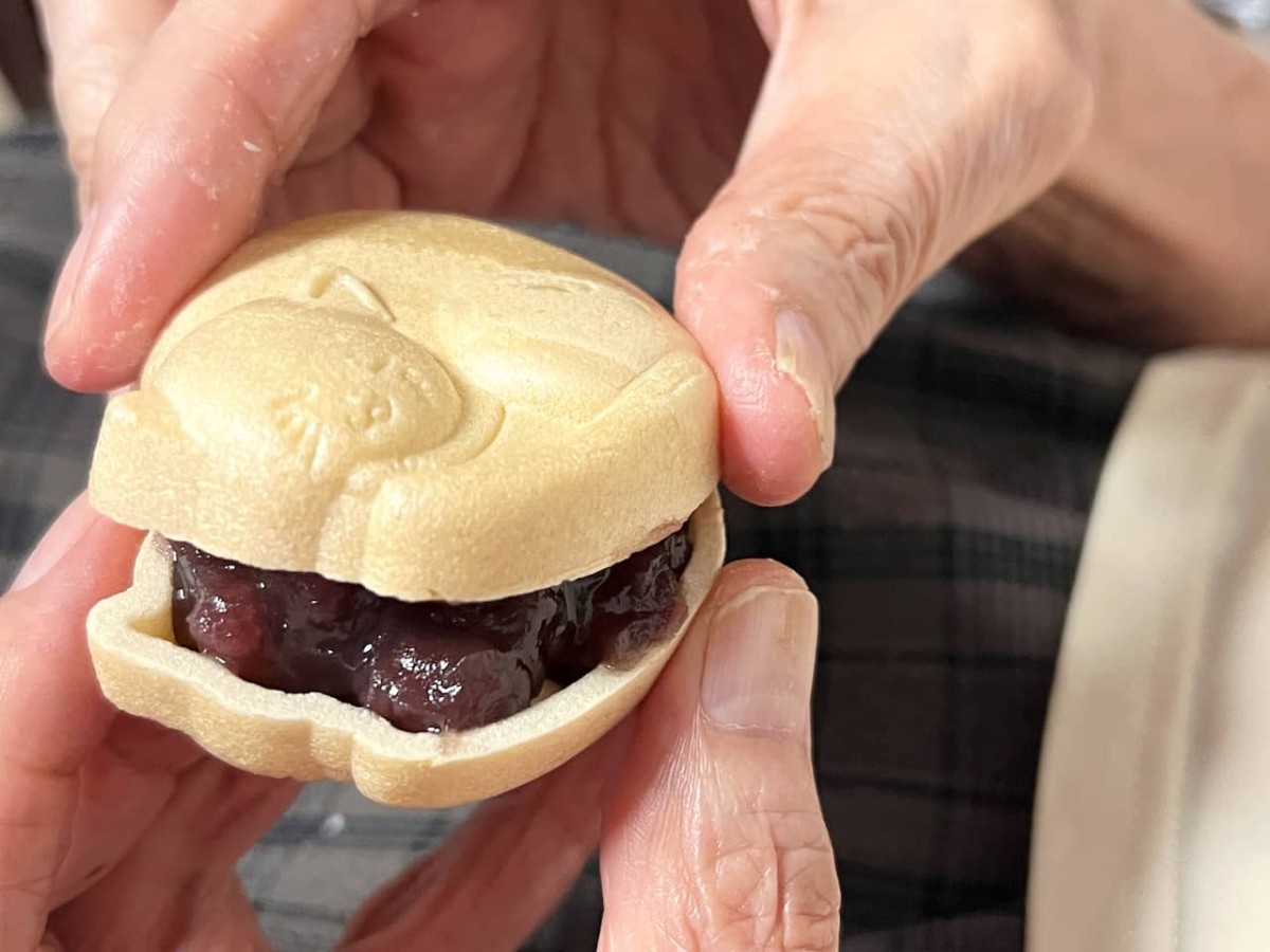 鳥取県米子市にある『菓子はな』の和菓子