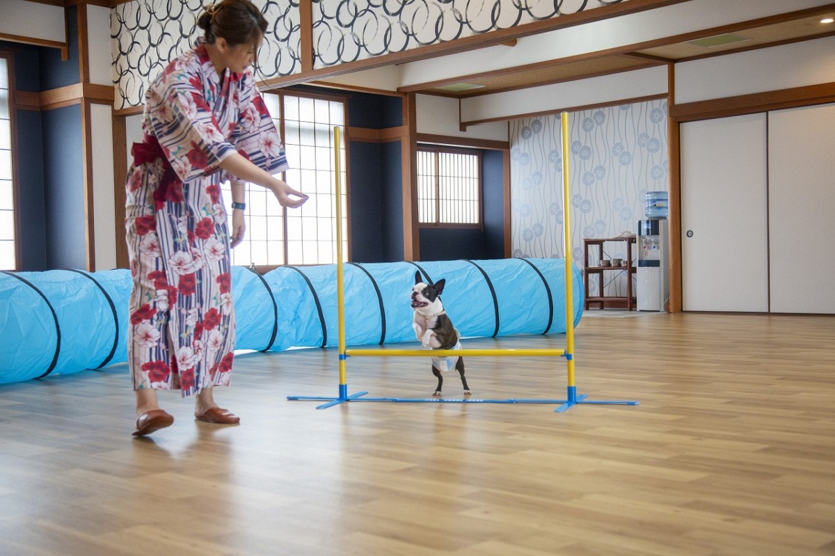 鳥取県米子市の皆生温泉にある『松涛園』の屋内ドラッグ