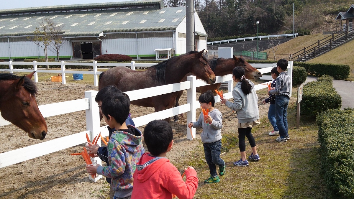 20190704_pickup_ウエスタン