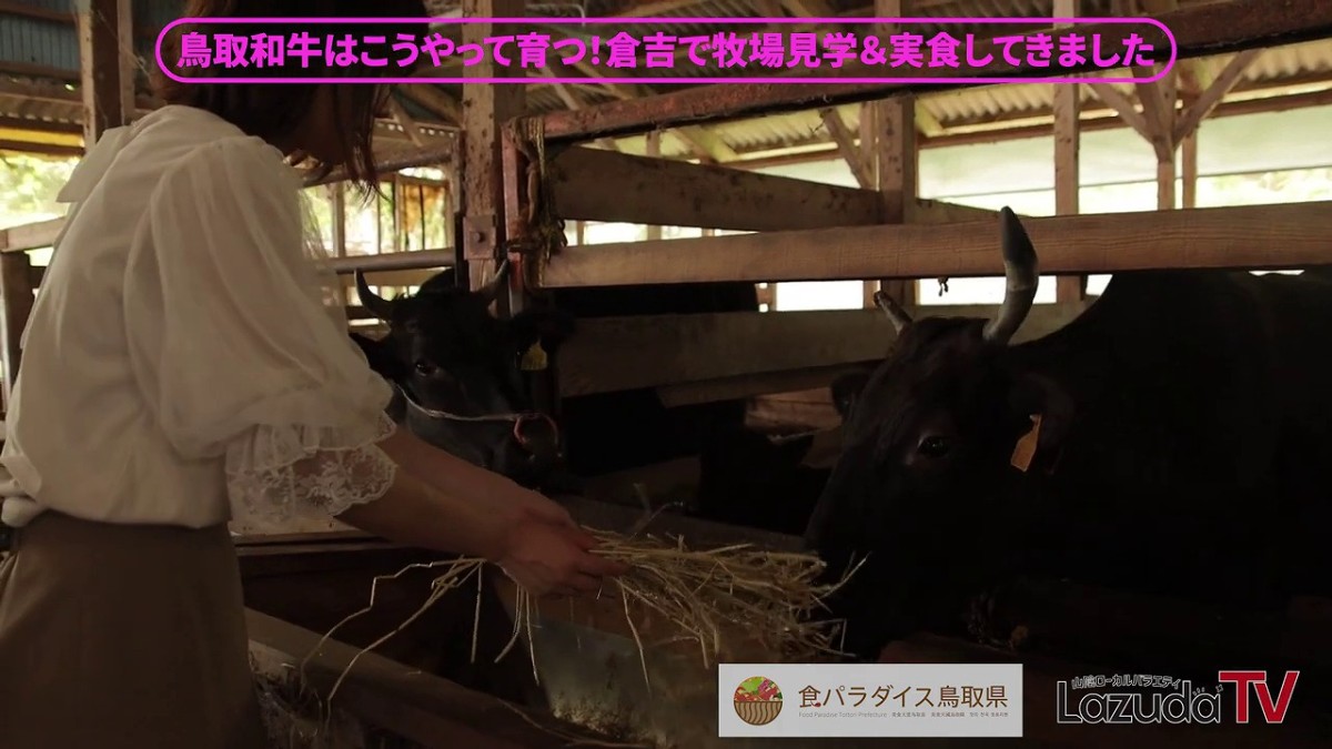 YouTubeチャンネル「ラズダTV」にて鳥取県倉吉市へ牧場見学に訪れた様子