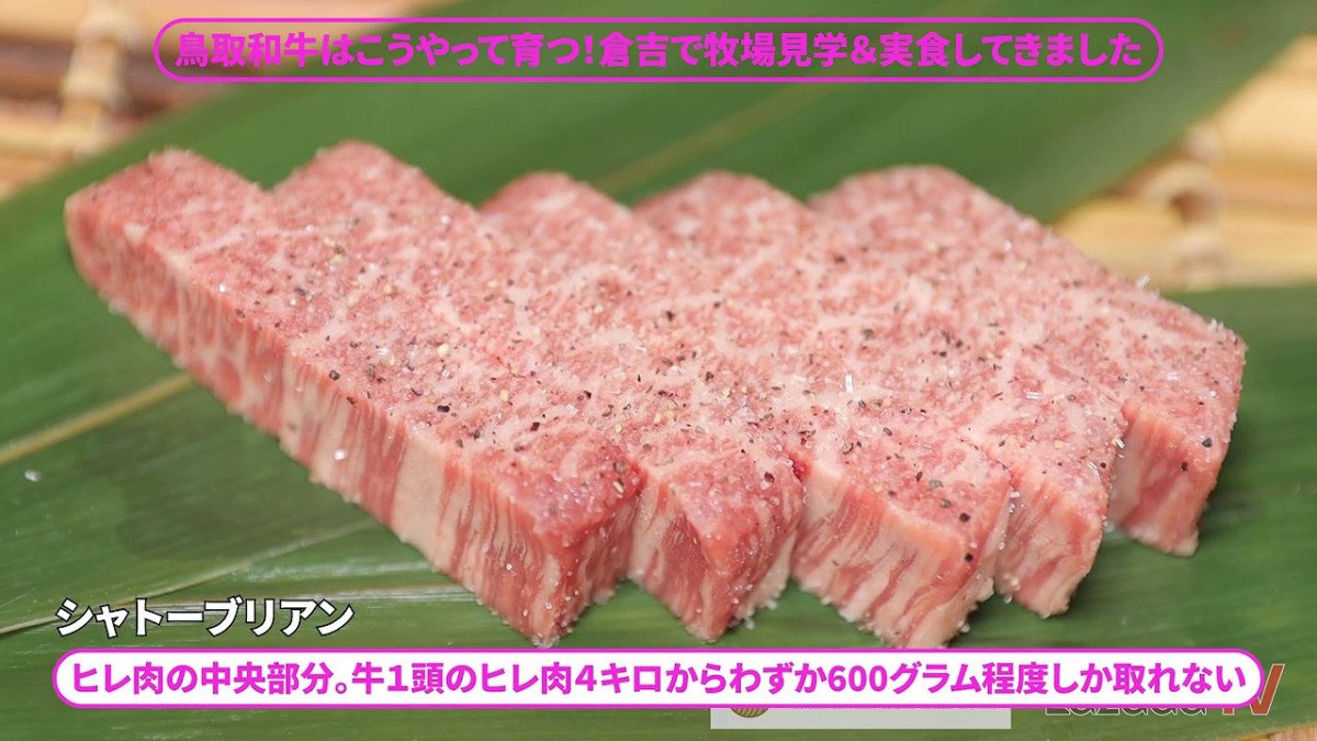 鳥取県鳥取市にある『焼肉 牛王 本店』で味わえるシャトーブリアン