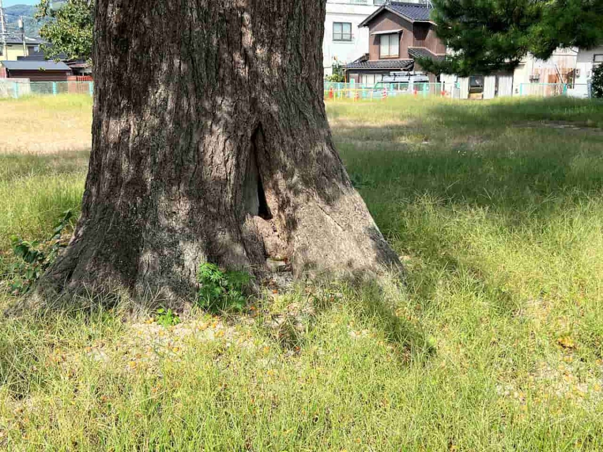 鳥取県境港市にある『日ノ出広場（妖木の公園）』の様子