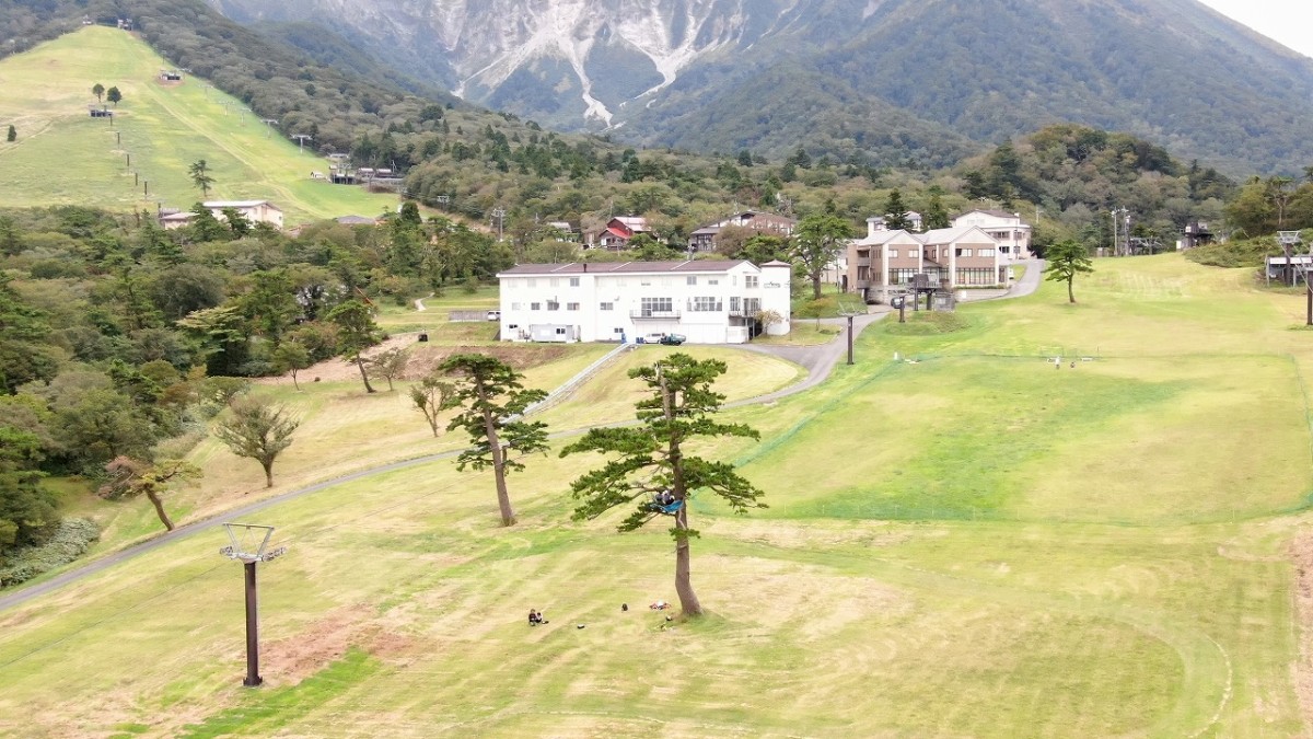 鳥取県大山エリアの木登り体験サービス『木のぼり木の子』の体験風景