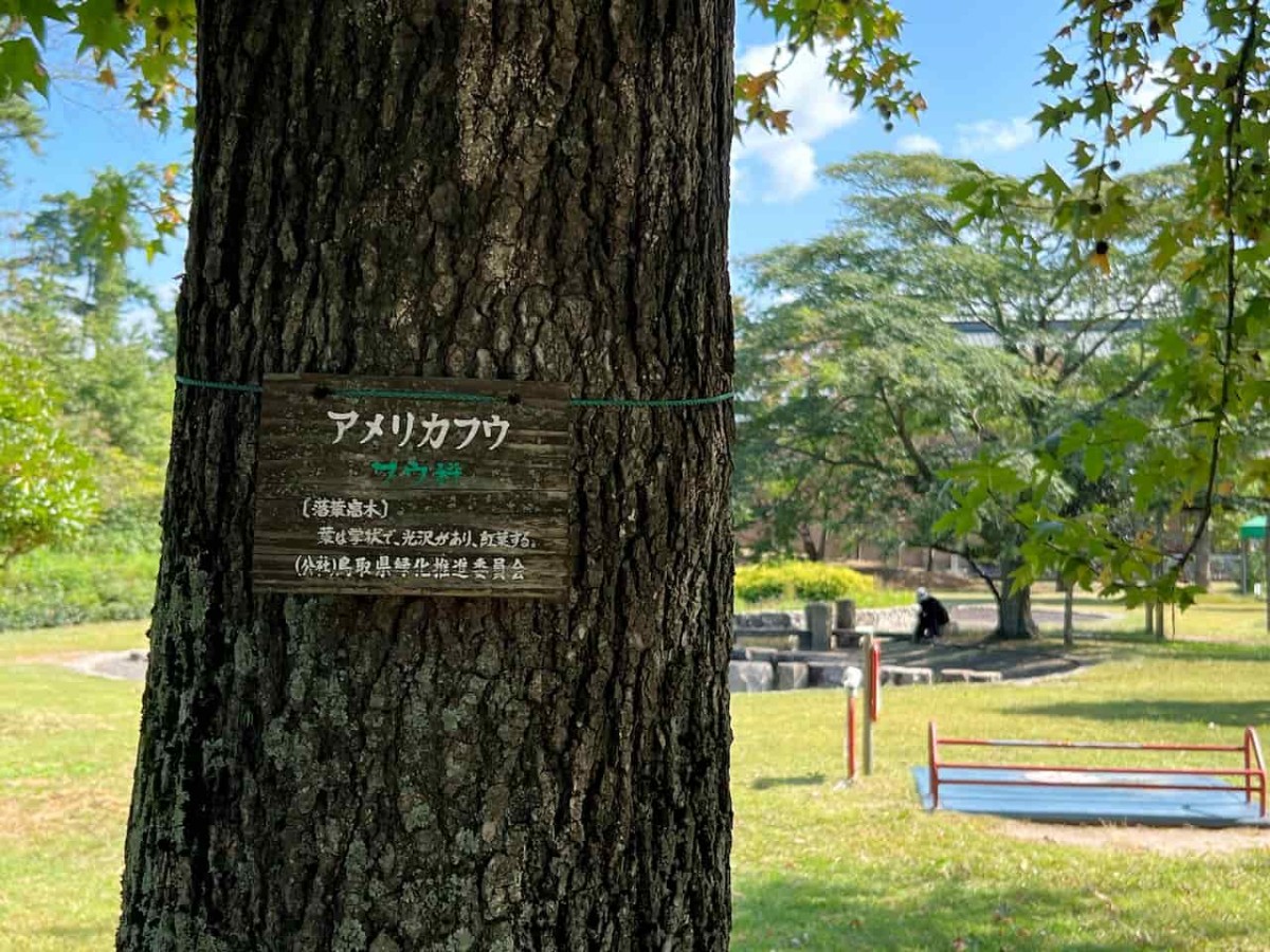 鳥取県米子市の『弓ヶ浜公園』の様子