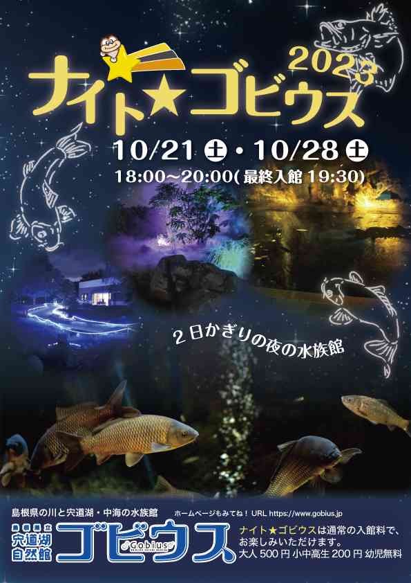 島根県出雲市のイベント「ナイト★ゴビウス2023」のチラシ