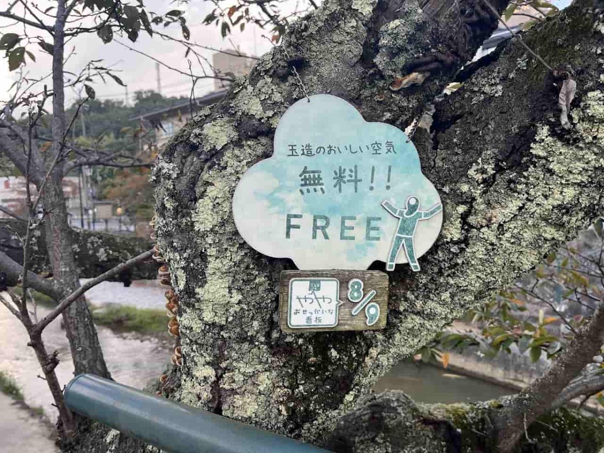 島根県松江市の玉造温泉街にあるややおせっかいな看板