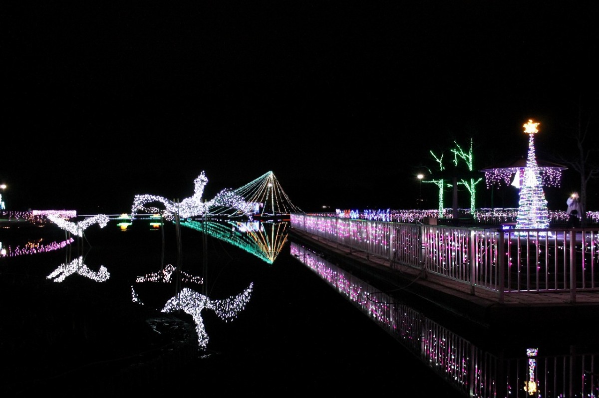鳥取県湯梨浜町の『東郷湖羽合臨海公園』で開催されるオススメのイルミネーション「あやめ池ウィンターイルミネーション」の様子