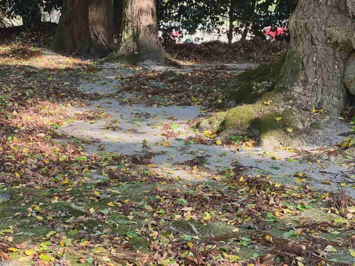 鳥取県日野郡日南町にある『大石見神社』の様子