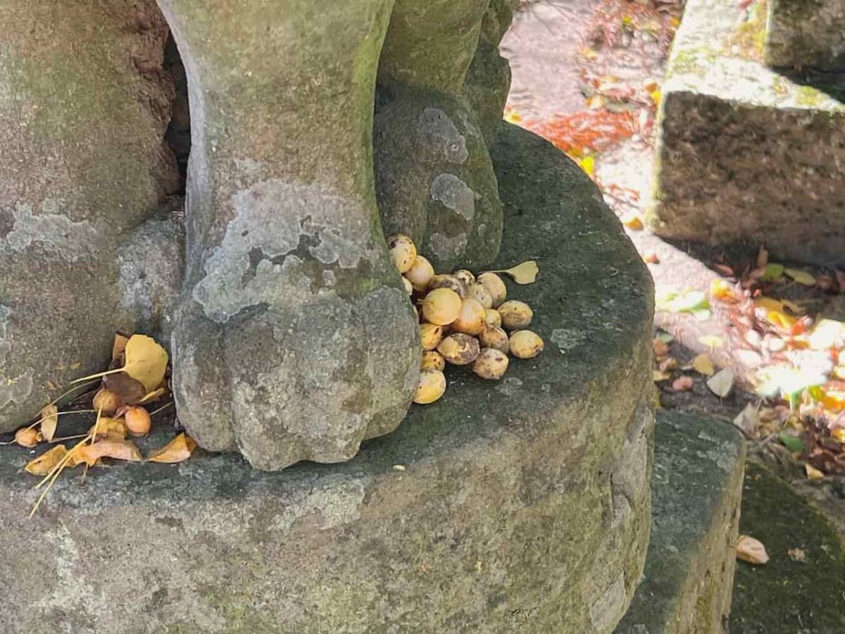 鳥取県日野郡日南町にある『大石見神社』の様子