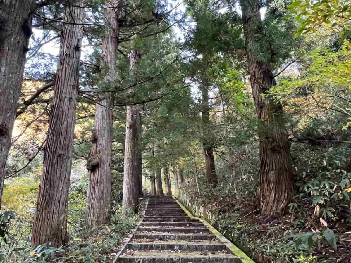 鳥取県日野郡日野町にある『滝山公園』敷地内にある『瀧山神社』の参道