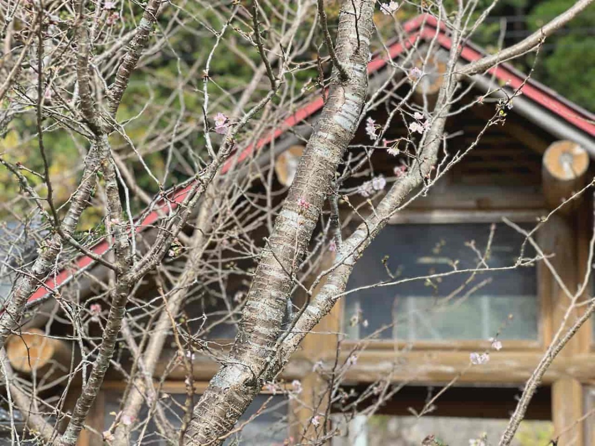 鳥取県日野町にある『金持神社』の様子