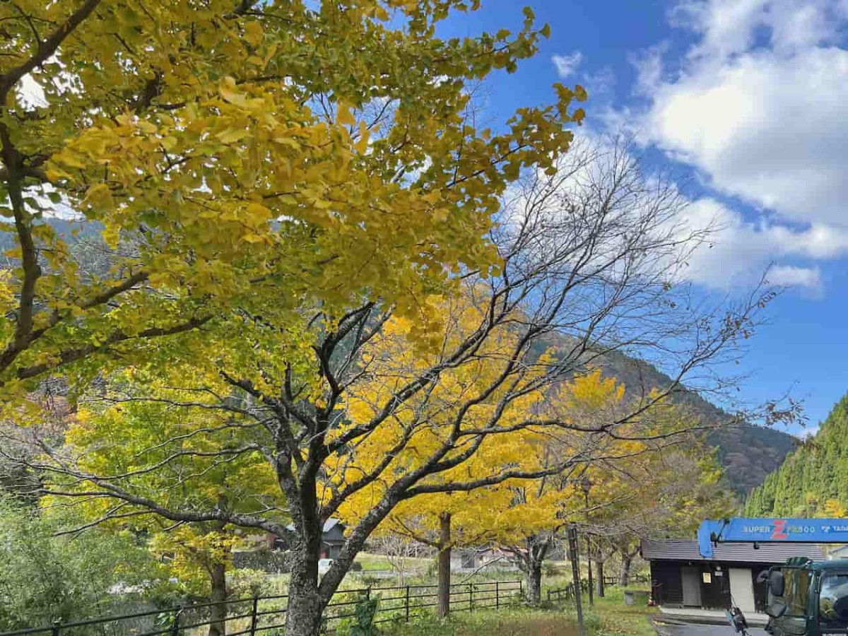 鳥取県日野町にある『金持神社』周辺の様子