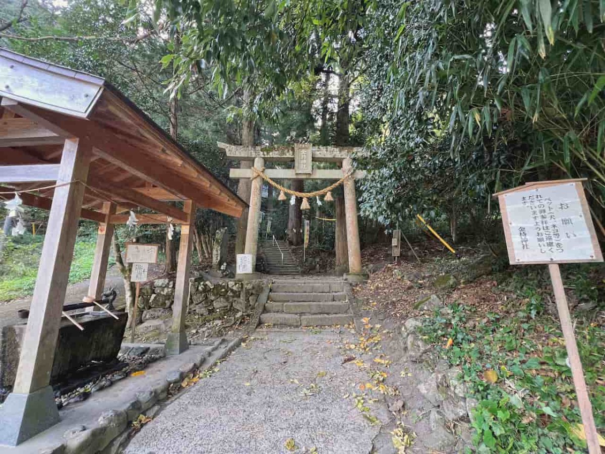 鳥取県日野町にある『金持神社』の参拝路